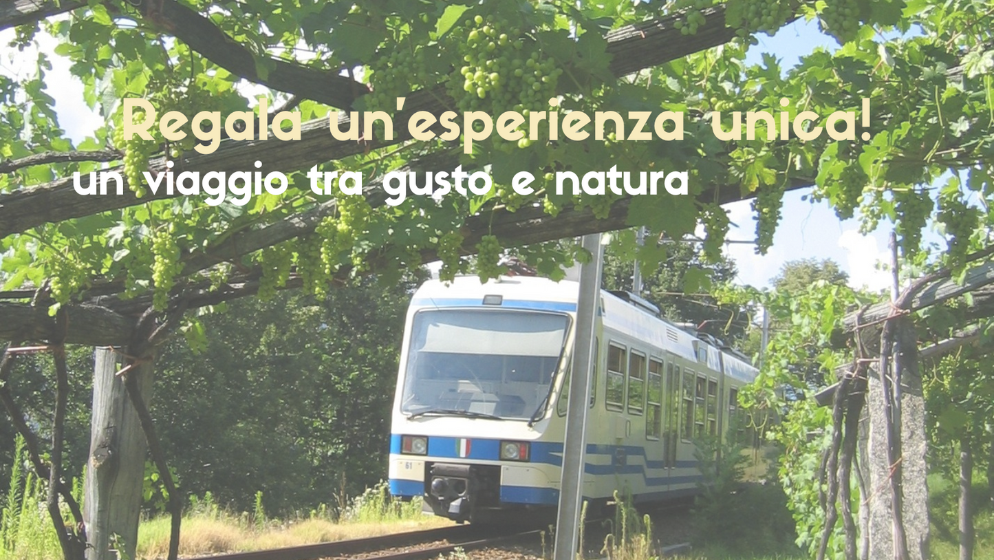 Buono Regalo VV Vino e Vigezzina