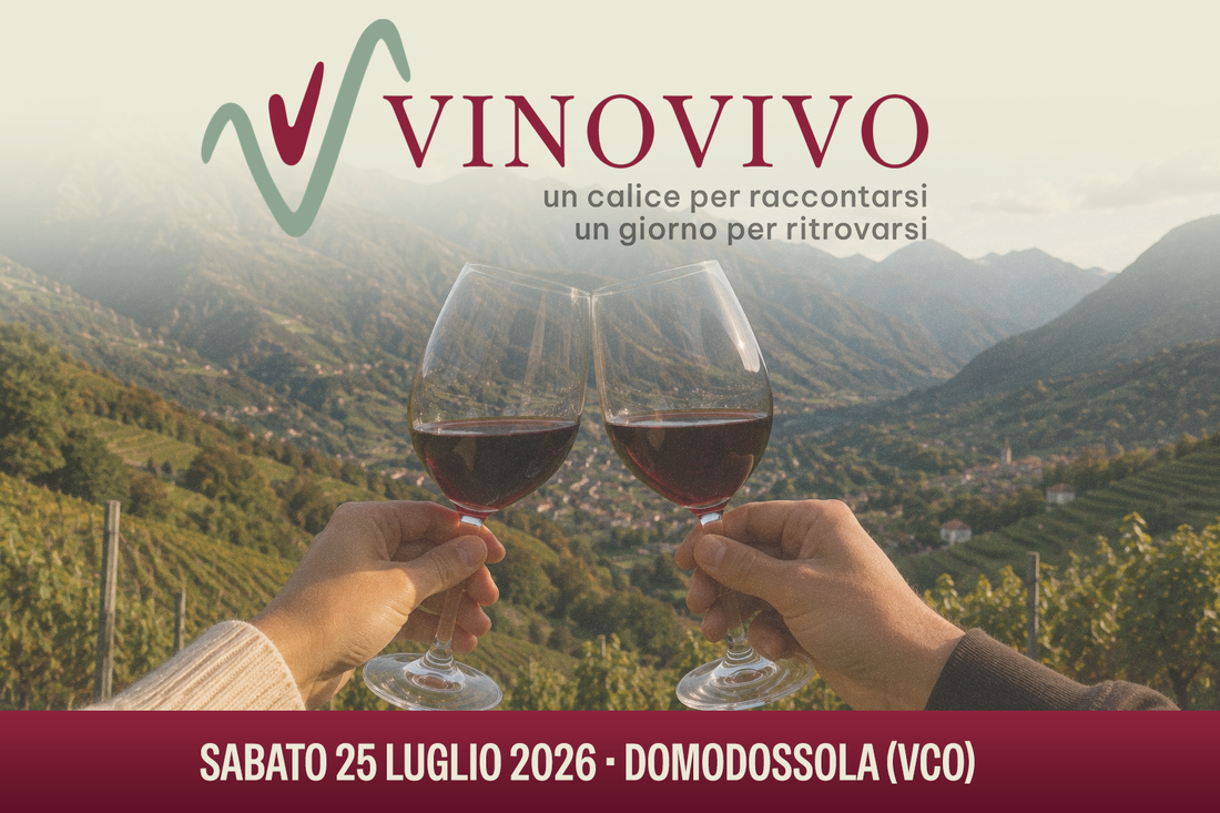 VINO VIVO